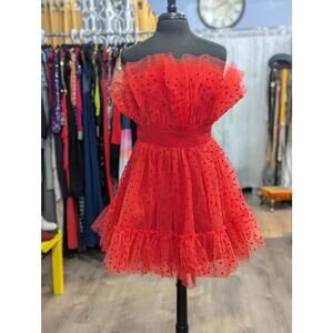 Tube Tulle Piper Mini Dress